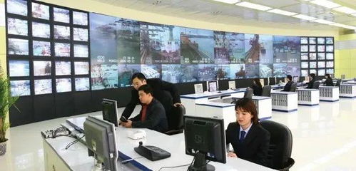專業群巡禮 青島港灣職業學院信息技術專業群，信息技術咨詢服務探析